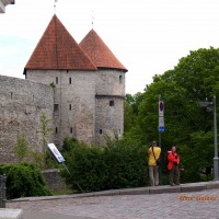Foto de Tallin