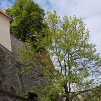 Foto de Tallin