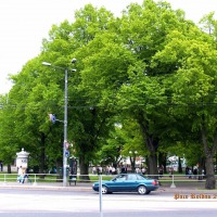 Foto de Tallin