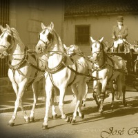 Foto de Jerez de la Frontera