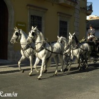Foto de Jerez de la Frontera