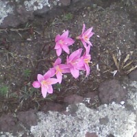 Foto de Sonsonate