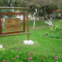 Foto de Arica