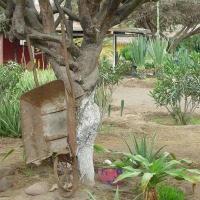 Foto de Arica