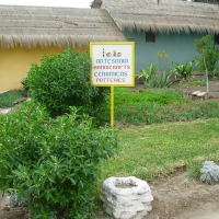 Foto de Arica