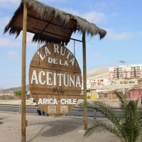 Foto de Arica