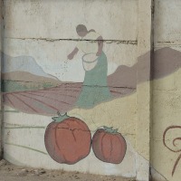 Foto de Arica