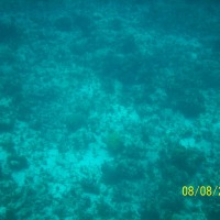 Foto de Isla San Andres