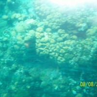 Foto de Isla San Andres