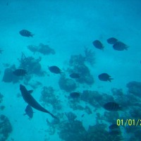Foto de Isla San Andres