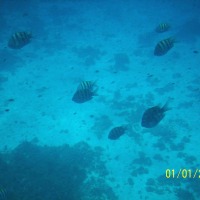 Foto de Isla San Andres