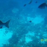 Foto de Isla San Andres