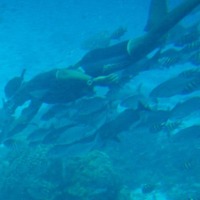 Foto de Isla San Andres