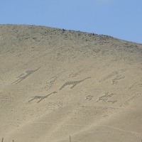 Foto de Arica