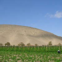 Foto de Arica