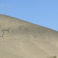 Foto de Arica