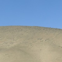Foto de Arica