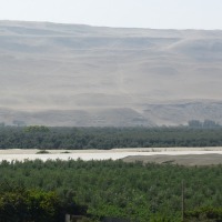 Foto de Arica