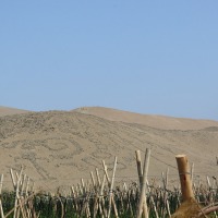 Foto de Arica