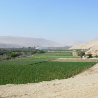 Foto de Arica
