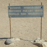 Foto de Arica
