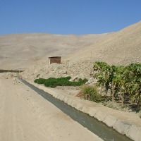 Foto de Arica