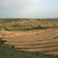 Foto de El Albages