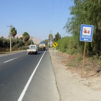 Foto de Arica