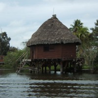 Foto de Guama