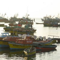 Foto de Arica