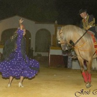 Foto de Jerez de la Frontera