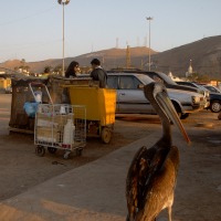 Foto de Arica