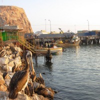 Foto de Arica
