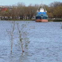 Foto de Zárate (Buenos Aires)