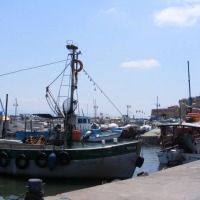Foto de Acre