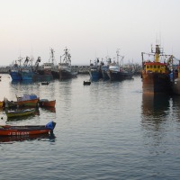 Foto de Arica