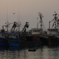 Foto de Arica