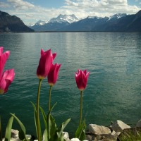 Foto de Montreux