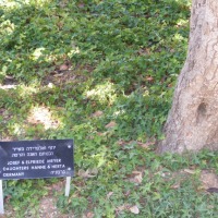 Foto de Jerusalem
