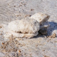 Foto de Ein Gedi