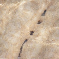 Foto de Ein Gedi