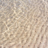 Foto de Ein Gedi