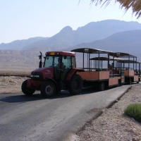 Foto de Ein Gedi