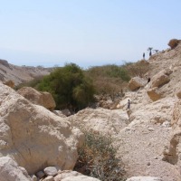Foto de Ein Gedi