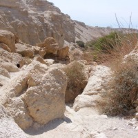 Foto de Ein Gedi