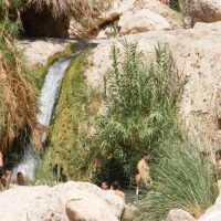 Foto de Ein Gedi