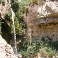 Foto de Ein Gedi