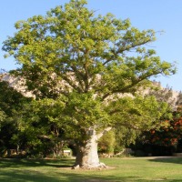 Foto de Ein Gedi