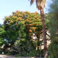 Foto de Ein Gedi
