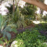 Foto de Ein Gedi